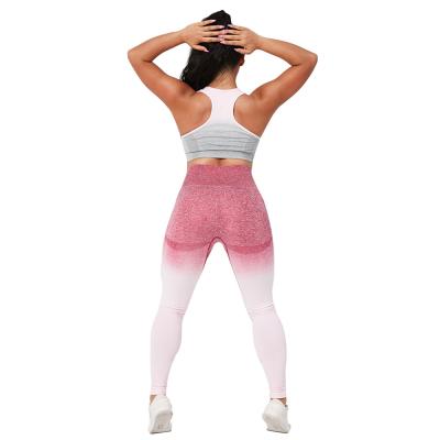 China Breathable Tummy Control Sport Tight Corset Gaiters Comfortable Color Yoga Pants Cotton for sale