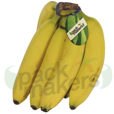 China Recyclable Kraft Paper Or Coated Paper ID Labels For Fruits for sale