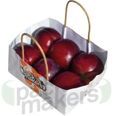 China Recyclable WET STRENGTH PAPER BAG WITH VENTILATION FOR BONE FRUIT for sale