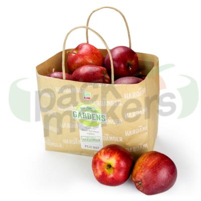 China Recyclable Wet Strength Kraft Paper Bag Without Venting For Apple Or Fruit for sale