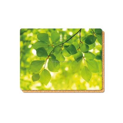 China Reasonable price waterproof lacquered anti-slip coffee do cork backed table place mat printing for sale