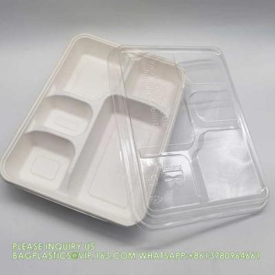 China Costom Printed Paper Pulp Takeaway Sauces Packing Tableware Multi-Compartment Bagasse Pulp Biodegradable Lunch Boxes for sale