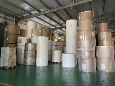 China Factory Greaseproof Waterproof Single Double Wall PE Coated Kraft Paper Roll Food Grade Raw Material For Paper Cup for sale