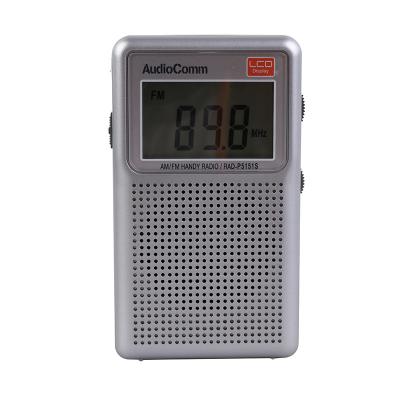 China High quality small and compact design OEM Dongguan radio IC Digital FM speaker FM service pocket radio for sale