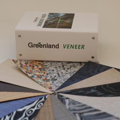 China EUROPEAN engineered wood veneer and dyed veneer sample book with 200 hundred options for sale