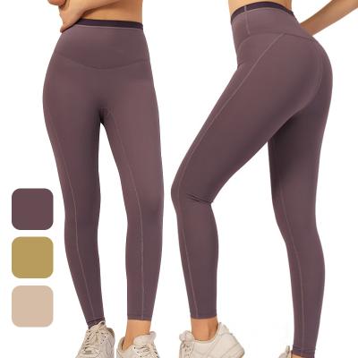 China Seamless Leggings Gym Gaiters For Women Legging Set for sale