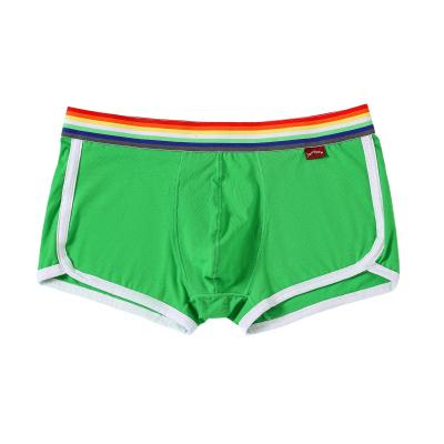 China Antibacterial Rainbow Antibacterial Men's Boxer for sale