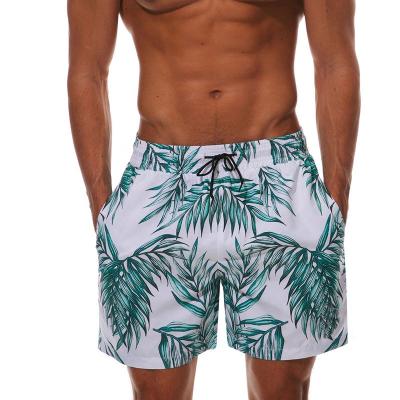 China 2019 Newest Fashion Breathable Breathable Men Short Beach for sale