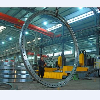 China Professional Forged Carbon Steel Large Diameter Flange Manufacturer for sale