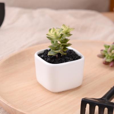 China 10pcs/set Chinese style plant green plant flowerpot small succulent green dill pot succulent round small succulent flower pot for sale