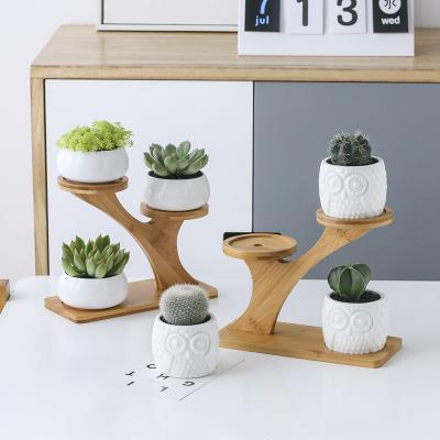 China Double-Layer Ceramic Succulent Succulent Green Dill Plant Pot Green Plant Flower Pot Tray Round Layer Small Flower Pot for sale