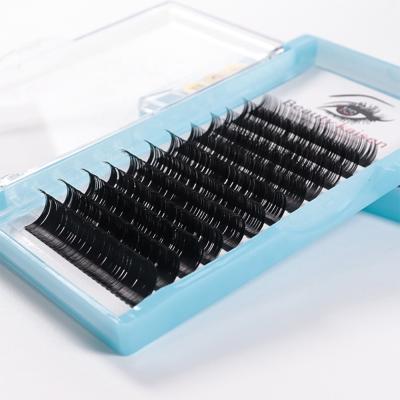 China Thick Cosmetics Private Label Whips Extension Mink Eyelash Extension OEM Silk Lashes For Extension for sale