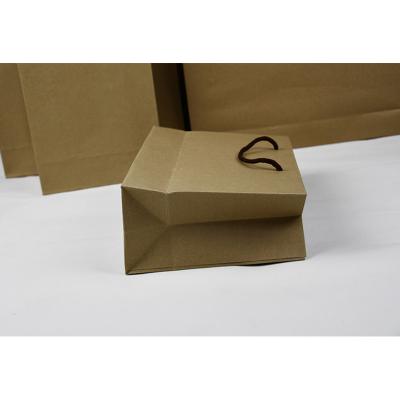 China 250g 300g Eco Friendly Paper Shopping Bag With Twised Handle for sale