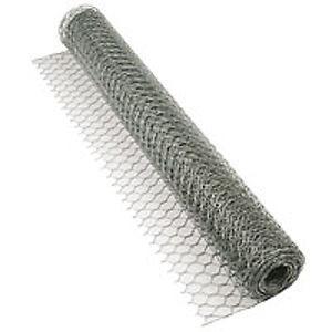 China 25mm Hole Size Chicken Wire Mesh with 20 guage wire used in garden à venda