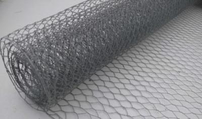 China Silver Woven 2 Inch Chicken Wire Mesh Stainless Steel For Garden / Poultry for sale