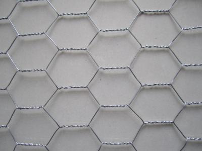 China Hot Dipped Galvanized Chicken Wire Mesh for sale