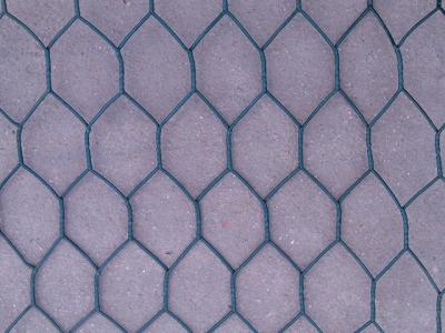 China Garden PVC Coated Hexagonal Netting Fence 25mm with 20 gauge wire for sale