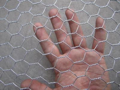 China Hot Dipped Galvanized Hexagonal Wire Netting , Silver Ornamental Wire Fence for sale