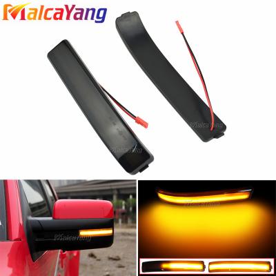 China Dynamic LED Turn Signal Light For 2009-2014 Ford F-Series F-150 SVT Raptor LED Side Mirror Indicator Light Dynamic Blinker 2009-2014 Side Mirror Indicator Light for sale