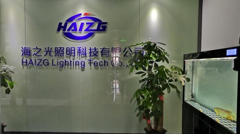 Verified China supplier - Guangzhou Haizhiguang Lighting Technology Co., Ltd.