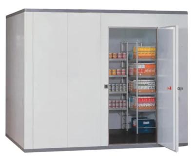 China Hotels 40 Ft Cold Storage Room Freezer Container for sale