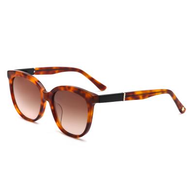 China Fashion Sunglasses Ready To Ship Ready Low MOQ Tortoiseshell Pattern Unisex Cat Eye Acetate Running Sunglasses for sale