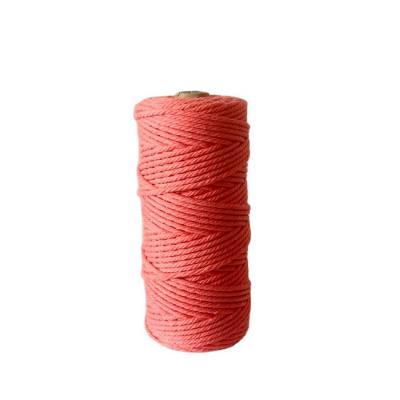 China Sustainable Natural Soft Multi Color Macrame Cotton Rope Twisted 3mm 4mm Macrame Rope Polyester for sale