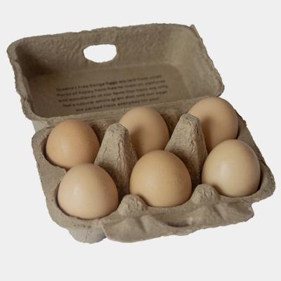 China Eco-friendly Biodegradable Recycled Empty Paper Pulp Egg Tray Egg Packaging Biodegradable Hot Sale for sale