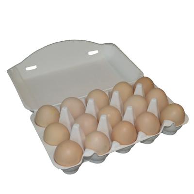 China Biodegradable Biodegradable Paper Carton 15 Chicken Egg Cartons/Egg Tray Suppliers For Pulp Eggs for sale