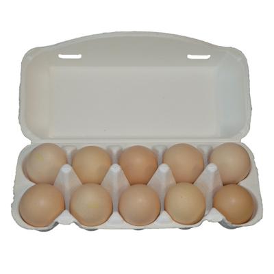 China High Quality Biodegradable Compostable Egg Tray Carton 10 Holes for sale