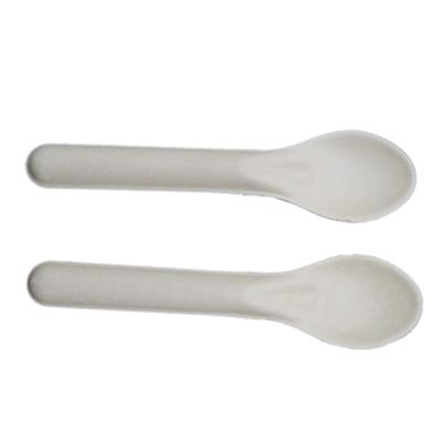 China Eco-friendly Biodegradable Disposable Sugar Cane Paper Pulp Spoon HY-TW004 for sale