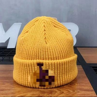 China 2021 COMMON Autumn winter fashion woolen hats street hip-hop wild knitted warm warm cold hat for unisex for sale