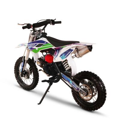 China Motor Other 110cc 125cc Min Bike Gasoline Dirt Bike for Adult Max Load 100kgs Pit Bike for sale