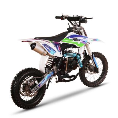 China CE Approved 110cc 125cc 4 Stroke Kick Electric Start Dirt Bike Pitbike for Adult Max. Speed 61 80km/h 14/12inch Wheel for sale