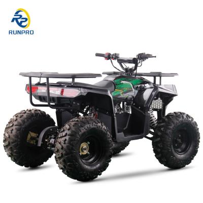 China 2WD All-terrain Double Four-wheeler Beach Buggy with 100-200kg Payload Capacity Perfect for sale