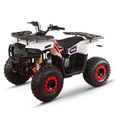 China ATV UTV Granja Motor 4 ruedas 125cc 150cc 200cc 4x4 Fuera de la carretera Cuatrimoto Cuad Moto Bike en venta