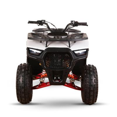 China Transmisión de gasolina para adultos 125cc ATV Motocicleta UTV con distancia al suelo de 150-200mm en venta