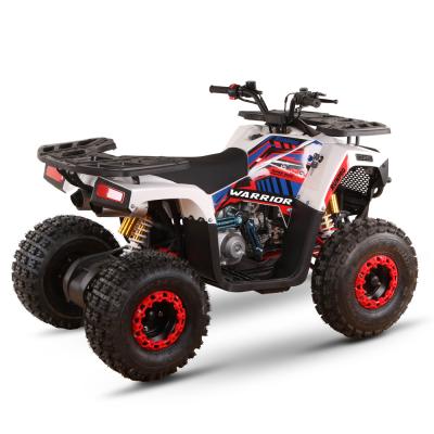 China 125CC Gas Powered ATVs for Adults Direct High Grade Ability ≥25° Displacement 125cc for sale