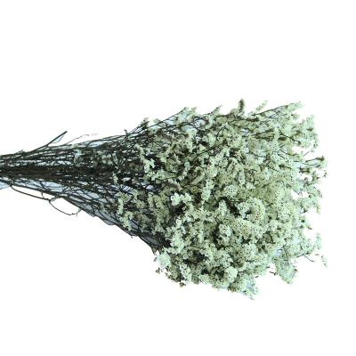 China Natural Fresh Preserved Limonium Crystal Grass Real Touch Caspea Long Lasting High Redemption For Home Wedding Decoration for sale