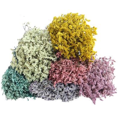 China 2022 Yunnan Central Statistical Institute Wholesale High Quality Preserved Elegant Love Grass Best Caspea For Wedding Decoration Flowers for sale