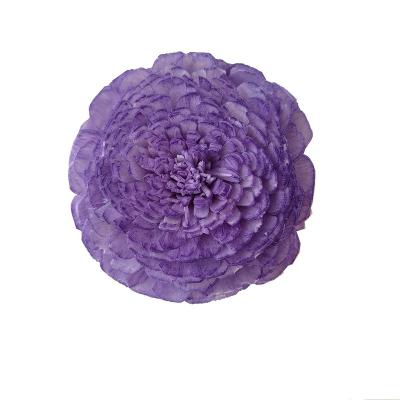 China Natural Touch Artificial Sola Flower Silk Rose Head Diffuser For Wedding Party Garden Dried Flowers Decorations DIY Craft Gift Box for sale