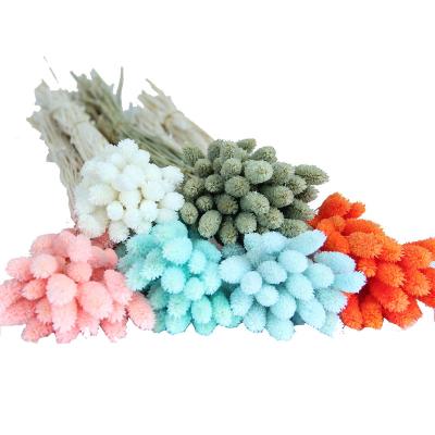 China Real Dry Plant Elegant Supply Natural Preserved Flowers Bleached Jewelry Grass Bouquet For Home Or Wedding Decorative On Sale for sale