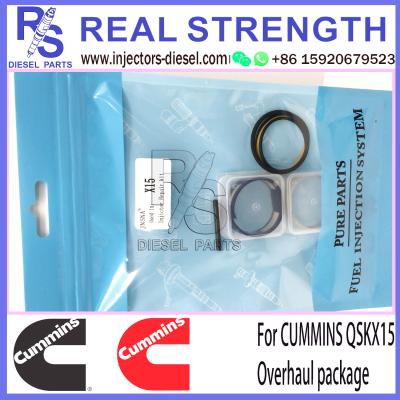 Cina Pacchetto originale di Kit Cummins Injector Rebuild Kit di riparazione dell'iniettore QSKX15 in vendita