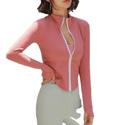 China Autumn and winter high-neck zipper jacket simple long-sleeved women's breathable custom thin sportswear for sale