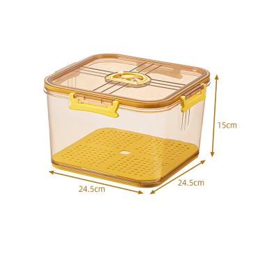 China Stackable Clear Plastic Refrigerator Pet Fridge Boxed Storage Organizer With Lid Storage Fresh-Keeping Bins for sale