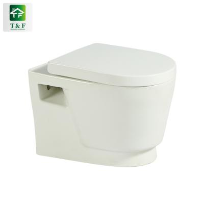 China Double-Flow Sanitary Ware Japanese Style Wall Hung Ceramic Two Piece Pan Washdown Pedestal Toilet Bowl Two Piece Wc Toilet for sale