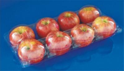 China Manufactury Disposable plastic fruit packaging punnet Food grade material PET plastic food packaging box FDA EU approved for sale