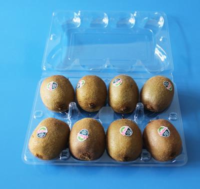 China Manufactury Disposable plastic fruit packaging punnet Food grade material PET plastic kiwi packaging box FDA EU approved for sale