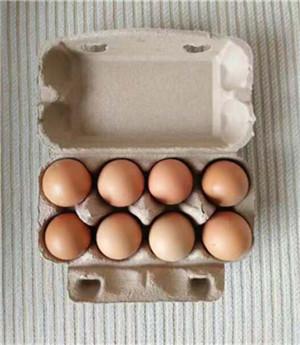 China plup paper egg tray egg packing box 8 pcs disposable egg packing box paper packing box for sale