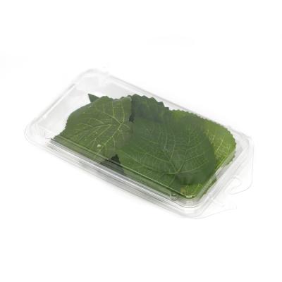 China Plastic disposable clear PET keep food fresh fruit clamshell packaging for sale